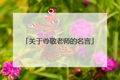 关于尊敬老师的名言