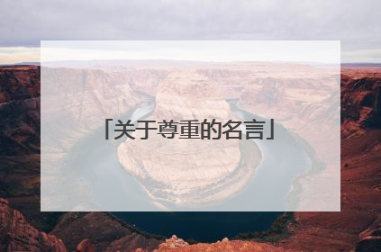 关于尊重的名言