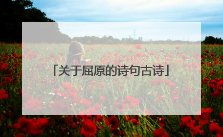 关于屈原的诗句古诗