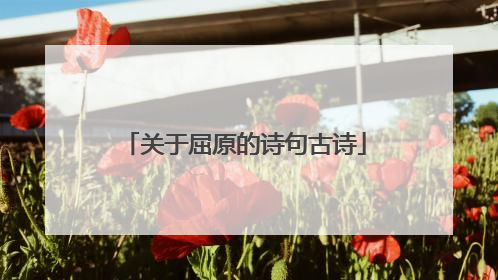 关于屈原的诗句古诗