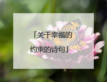 关于幸福的约束的诗句