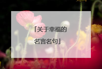 关于幸福的名言名句