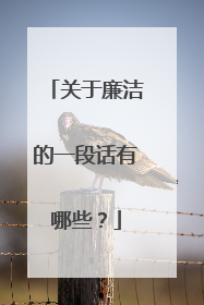 关于廉洁的一段话有哪些?