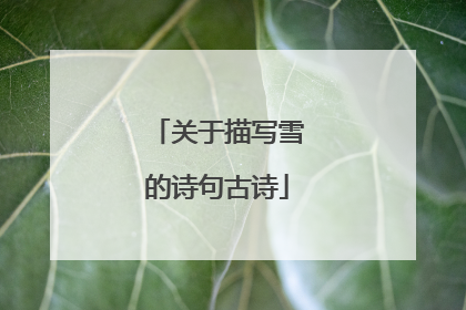 关于描写雪的诗句古诗
