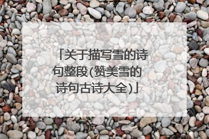 关于描写雪的诗句整段(赞美雪的诗句古诗大全)