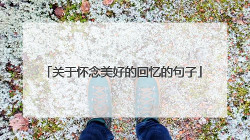 关于怀念美好的回忆的句子