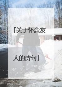 关于怀念友人的诗句