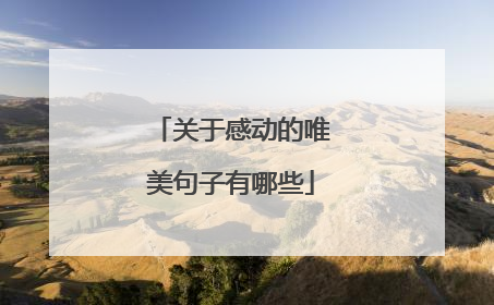 关于感动的唯美句子有哪些
