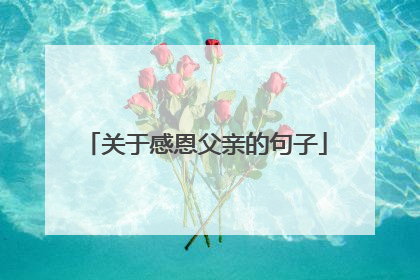关于感恩父亲的句子