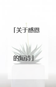 关于感恩的短诗