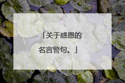 关于感恩的名言警句。