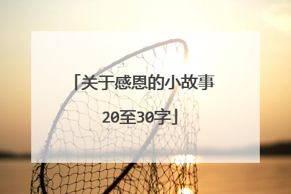 关于感恩的小故事 20至30字