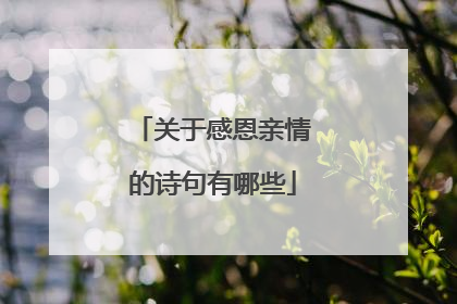 关于感恩亲情的诗句有哪些