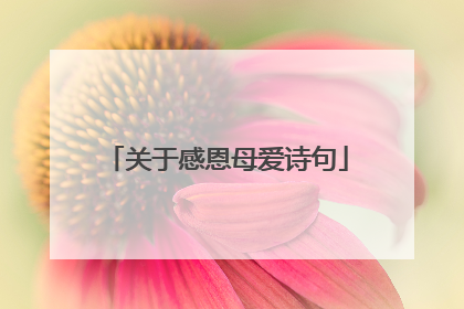 关于感恩母爱诗句
