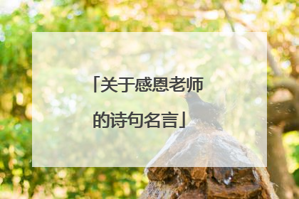 关于感恩老师的诗句名言