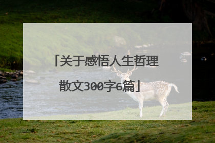 关于感悟人生哲理散文300字6篇