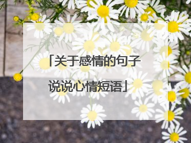 关于感情的句子说说心情短语