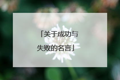 关于成功与失败的名言