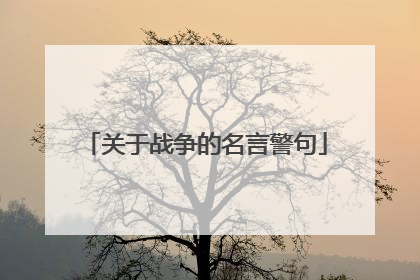 关于战争的名言警句