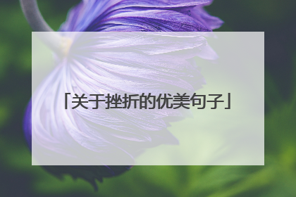 关于挫折的优美句子