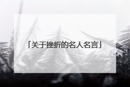 关于挫折的名人名言