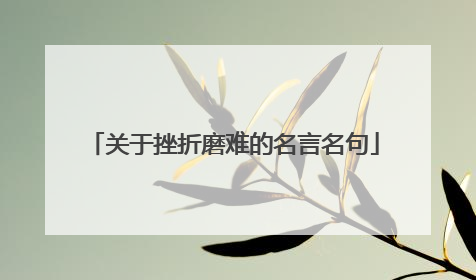 关于挫折磨难的名言名句