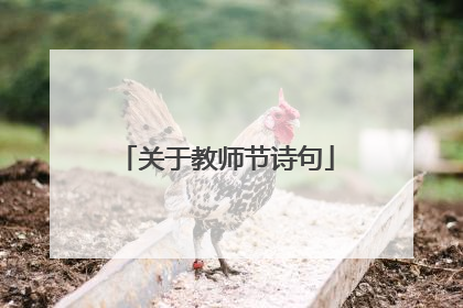 关于教师节诗句