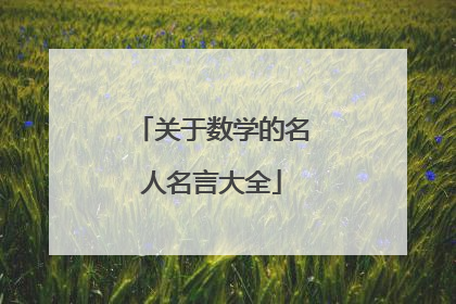 关于数学的名人名言大全