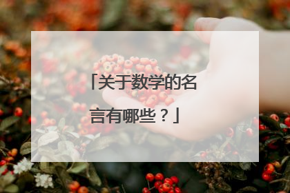 关于数学的名言有哪些？