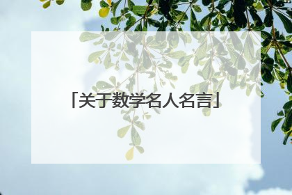 关于数学名人名言