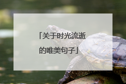 关于时光流逝的唯美句子