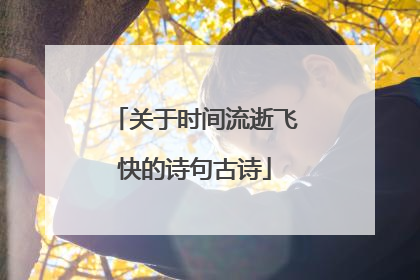 关于时间流逝飞快的诗句古诗