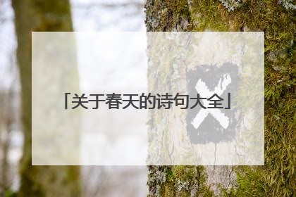 关于春天的诗句大全