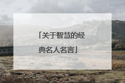 关于智慧的经典名人名言