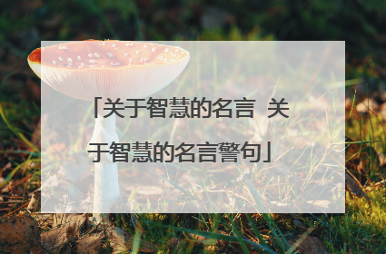 关于智慧的名言 关于智慧的名言警句