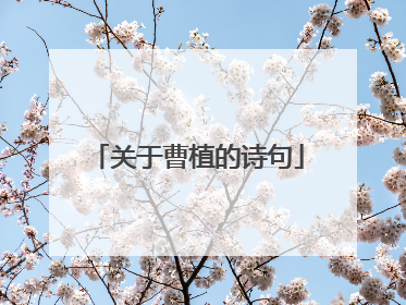 关于曹植的诗句