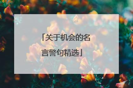 关于机会的名言警句精选