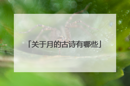关于月的古诗有哪些