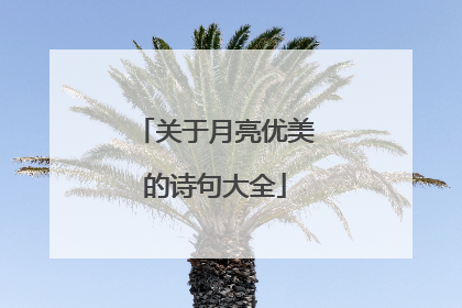 关于月亮优美的诗句大全