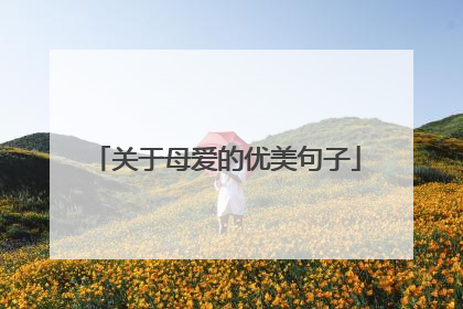 关于母爱的优美句子