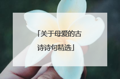 关于母爱的古诗诗句精选