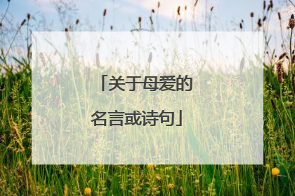 关于母爱的名言或诗句