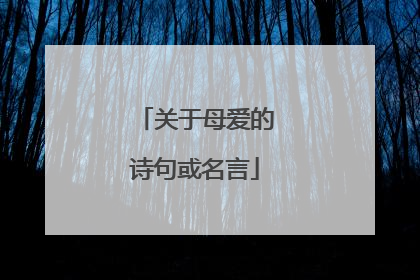 关于母爱的诗句或名言