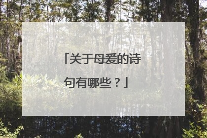 关于母爱的诗句有哪些?