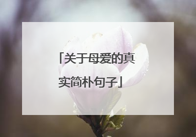 关于母爱的真实简朴句子