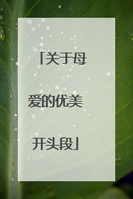 关于母爱的优美开头段