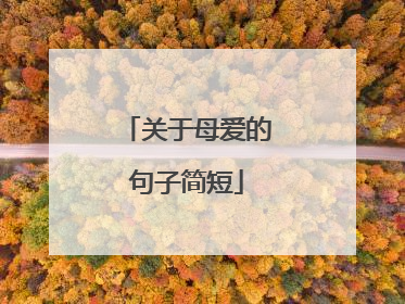 关于母爱的句子简短