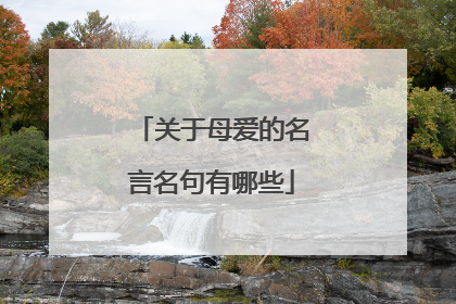 关于母爱的名言名句有哪些