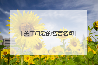 关于母爱的名言名句