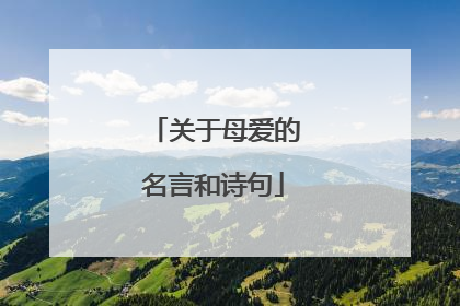 关于母爱的名言和诗句